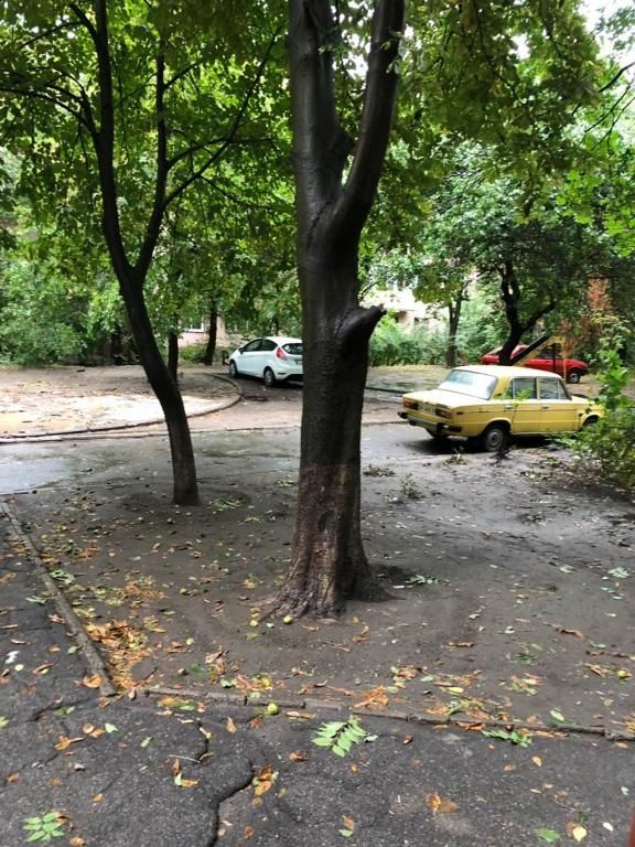 Апартаменты Люкс апартаменты в центре Запорожье (рядом с отелем Интурист) Запорожье-35