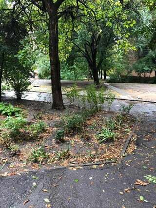 Апартаменты Люкс апартаменты в центре Запорожье (рядом с отелем Интурист) Запорожье Апартаменты-33